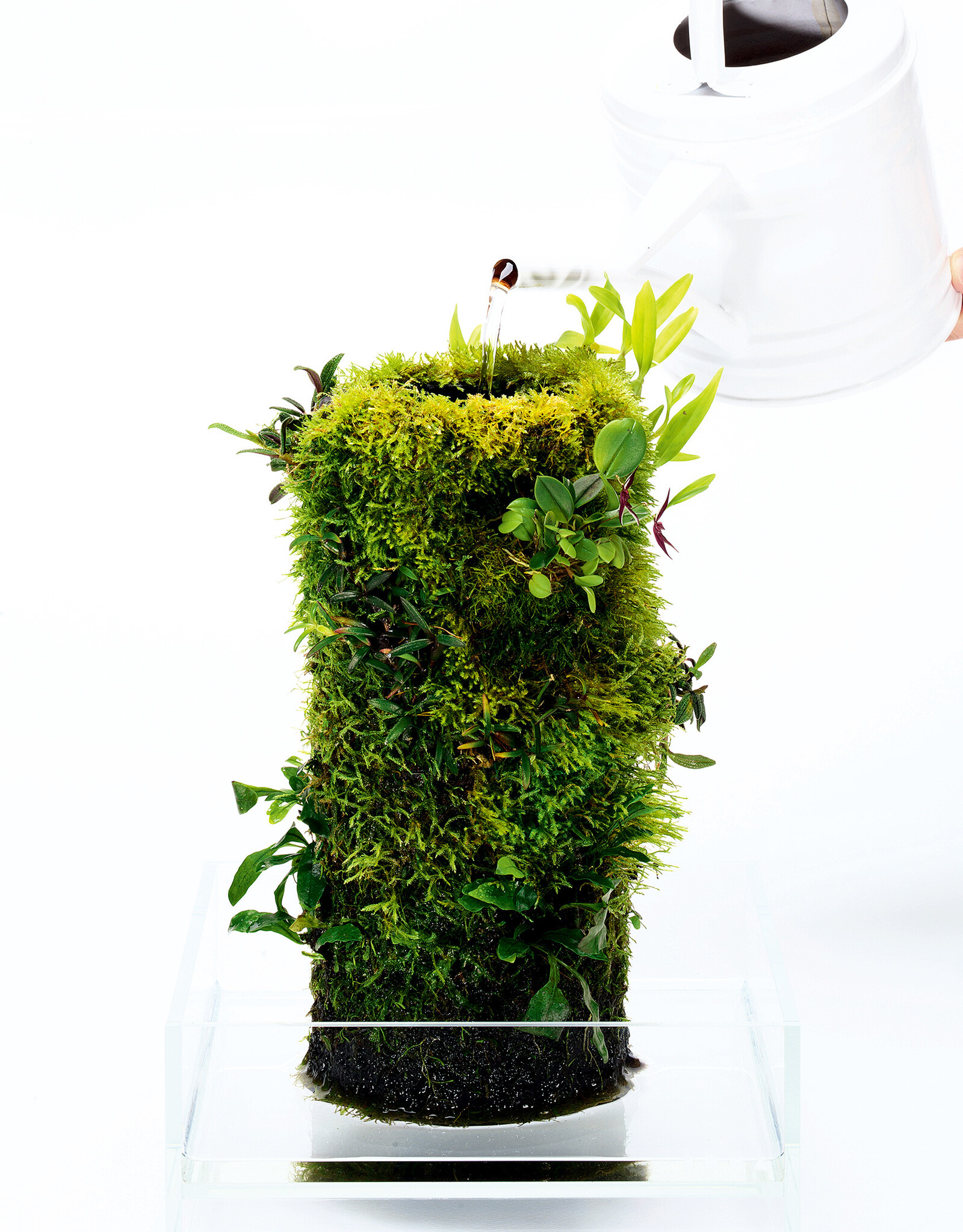 DOOA DOOA Terra Base