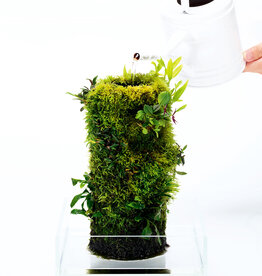 DOOA DOOA Terra Base