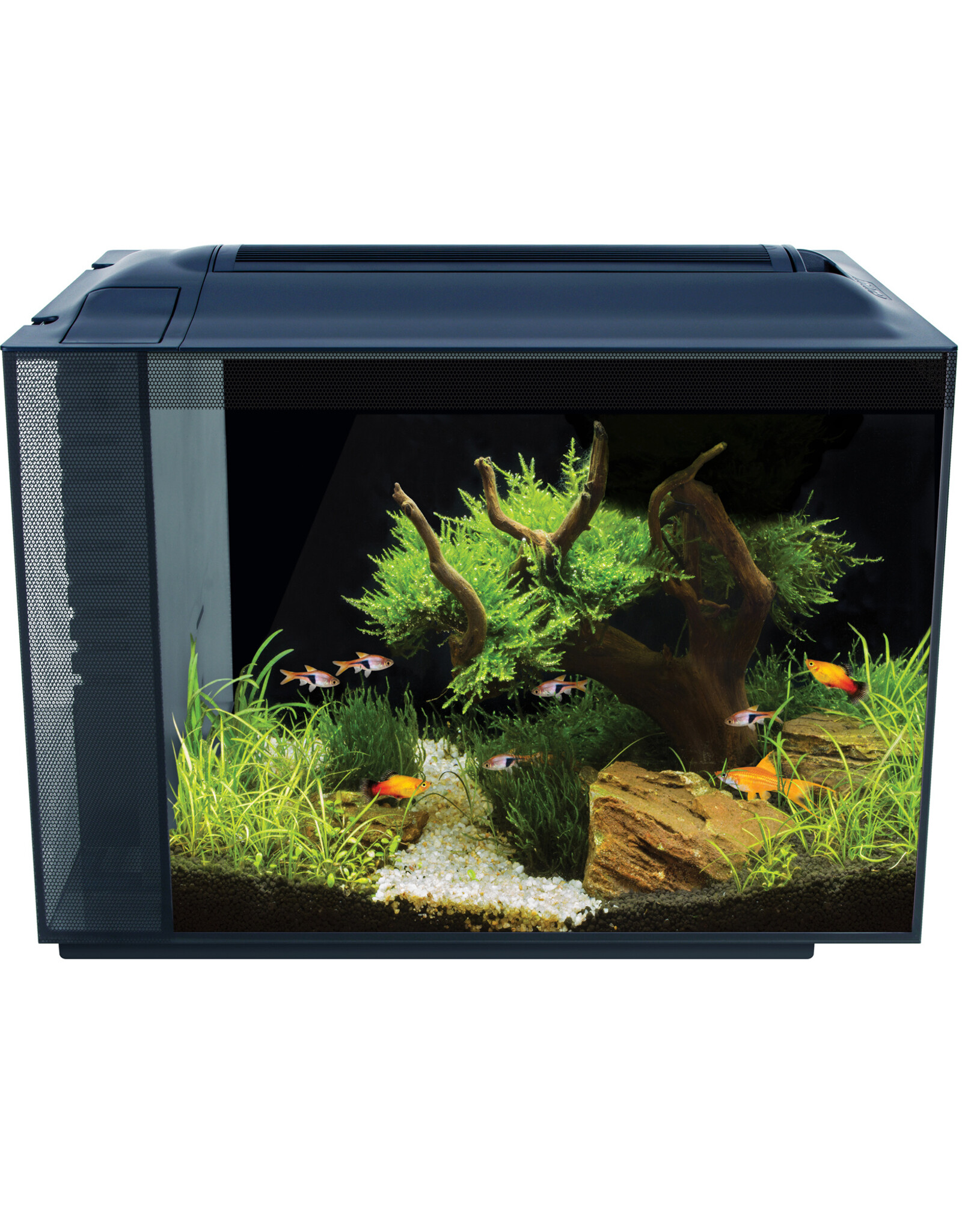 Fluval FLUVAL Spec XV 16 Gallon