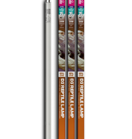 Arcadia ARCADIA Pro T5 HO 12% UVB Desert Lamp Bulb