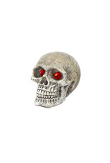 Penn Plax PENN PLAX Skull Gazer Mini Resin 2"