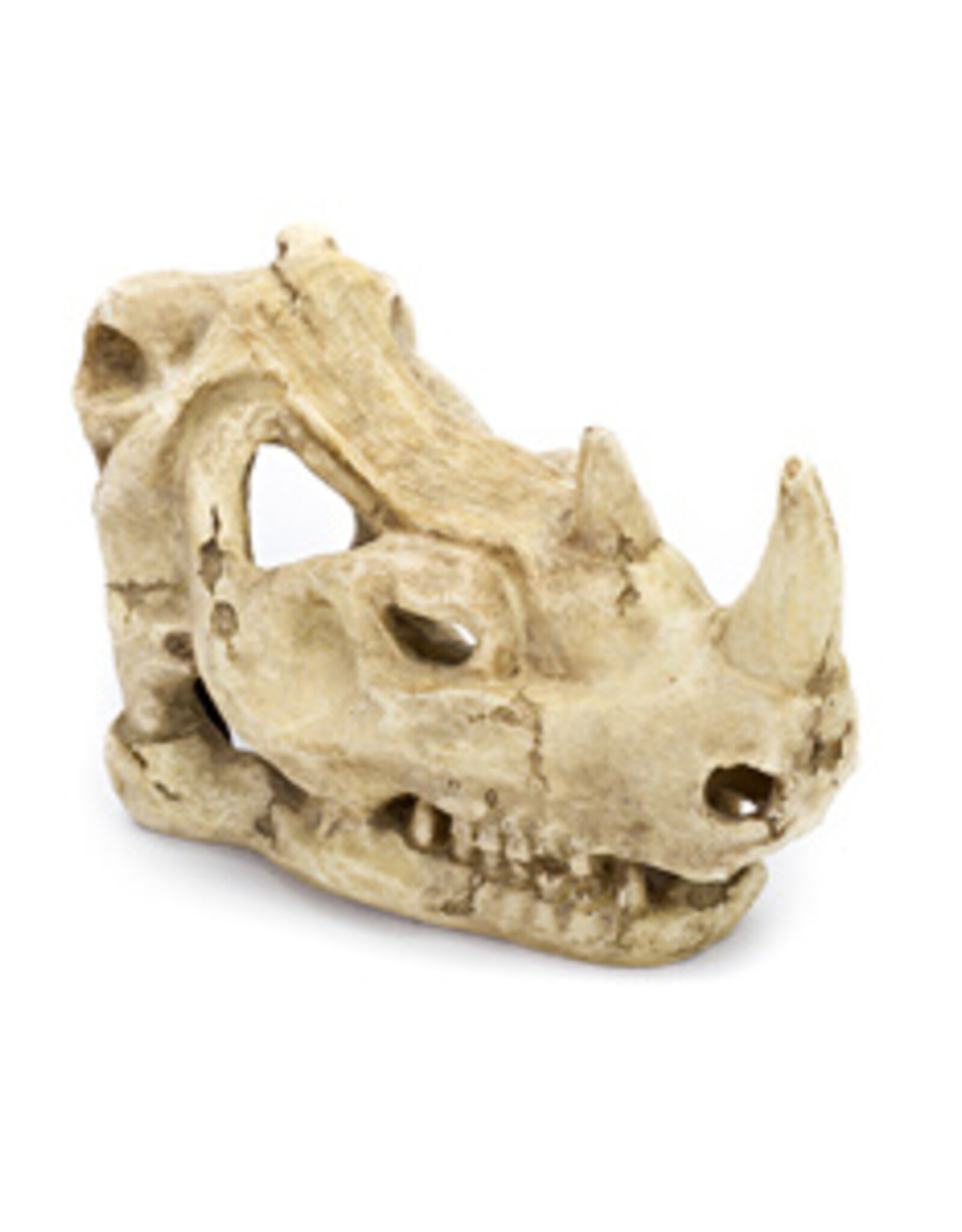Penn Plax PENN PLAX Resin Rhino Skull