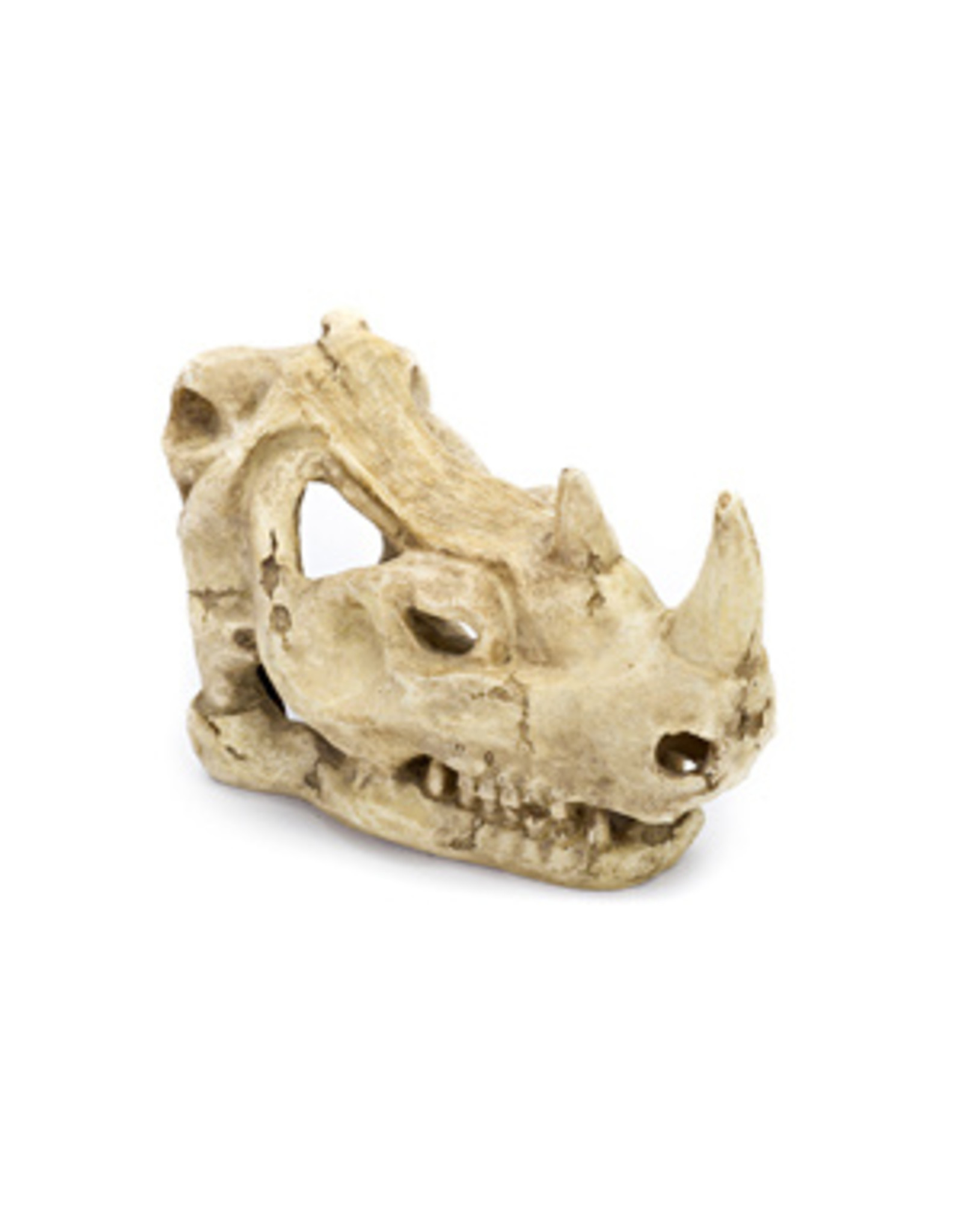 Penn Plax PENN PLAX Resin Rhino Skull