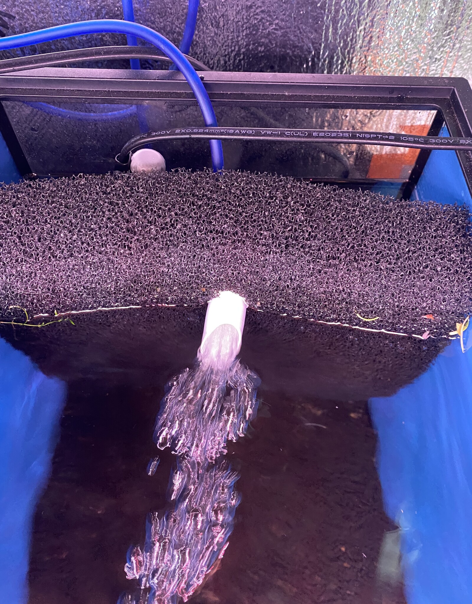 Jetlifter JETLIFTER Mattenfilter Kit for up to 5.5 Gallon Tanks