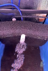 Jetlifter JETLIFTER Mattenfilter Kit for up to 10 Gallon Tanks