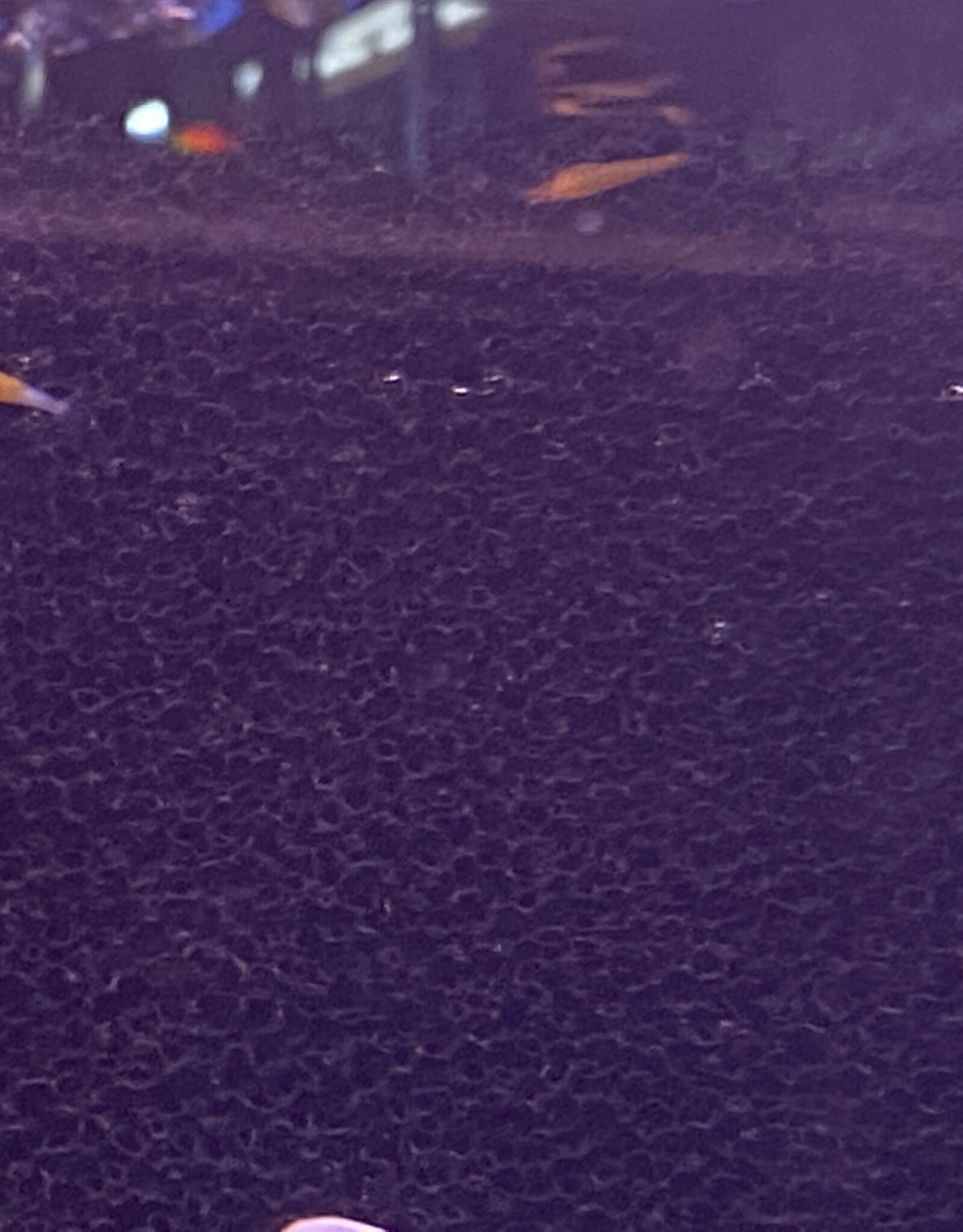 Jetlifter JETLIFTER Mattenfilter Kit for up to 10 Gallon Tanks