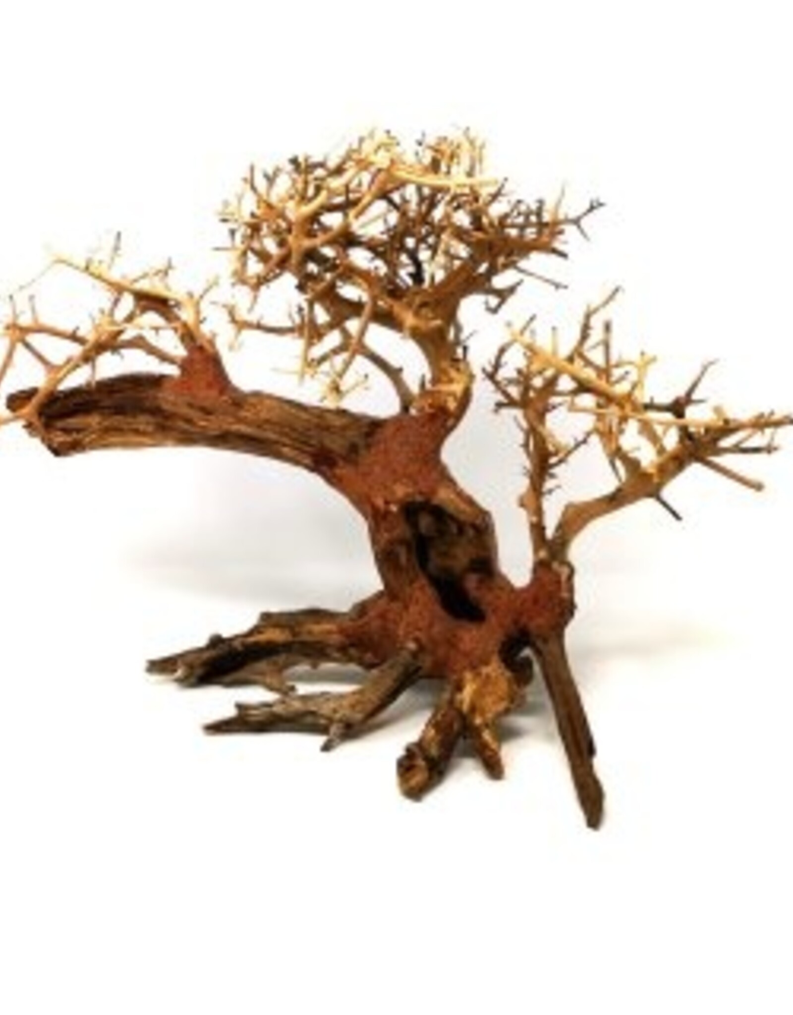 Aquaglobe Products AQUAGLOBE Dragon Wood