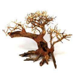 Aquaglobe Products AQUAGLOBE Dragon Wood