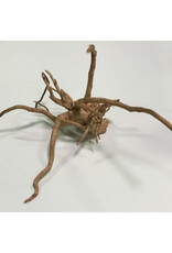 Aquaglobe Products AQUAGLOBE Spider Wood