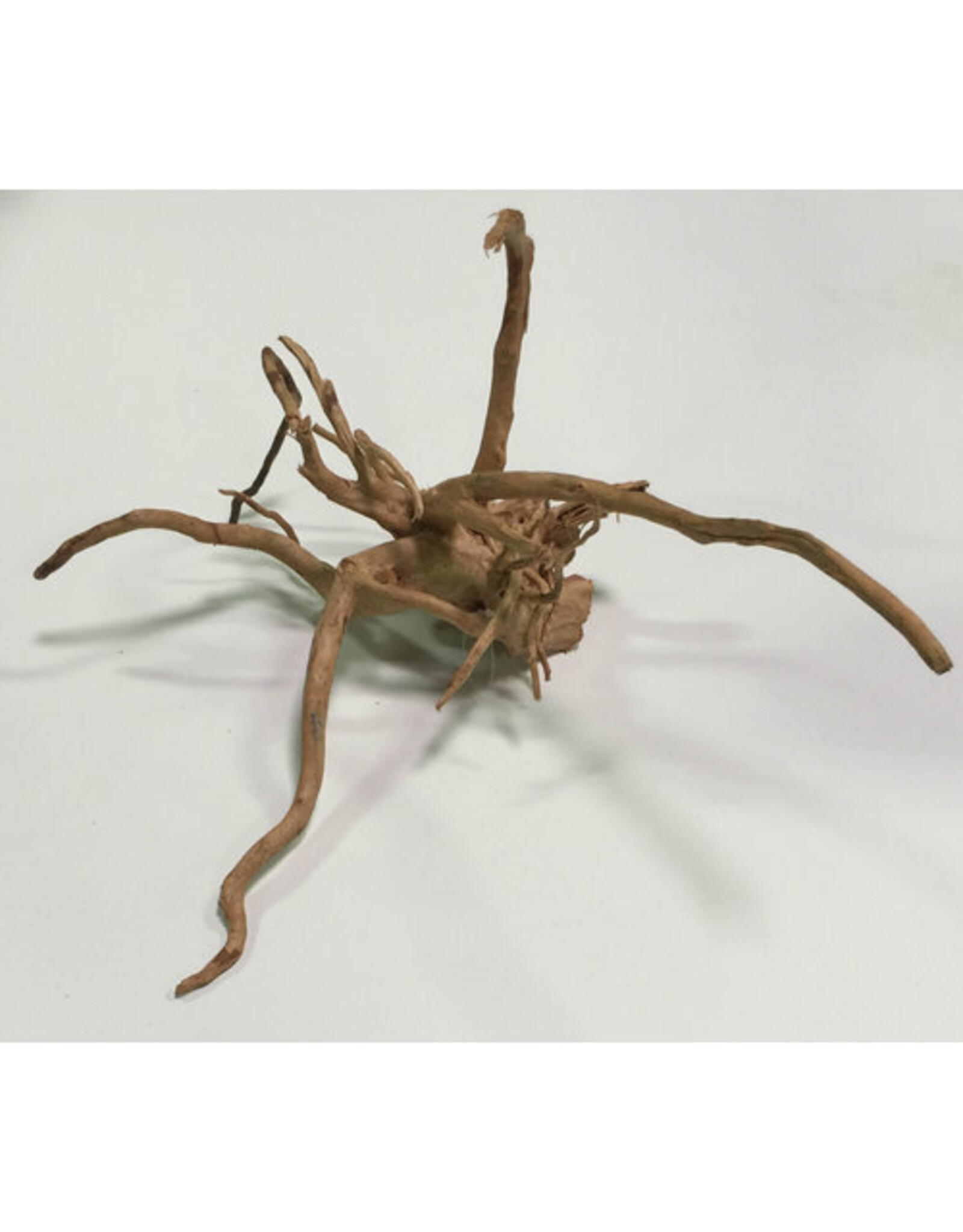 Aquaglobe Products AQUAGLOBE Spider Wood