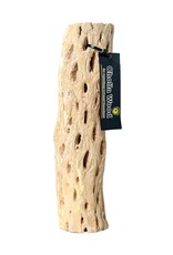 Galapagos GALAPAGOS Cholla Wood Branches