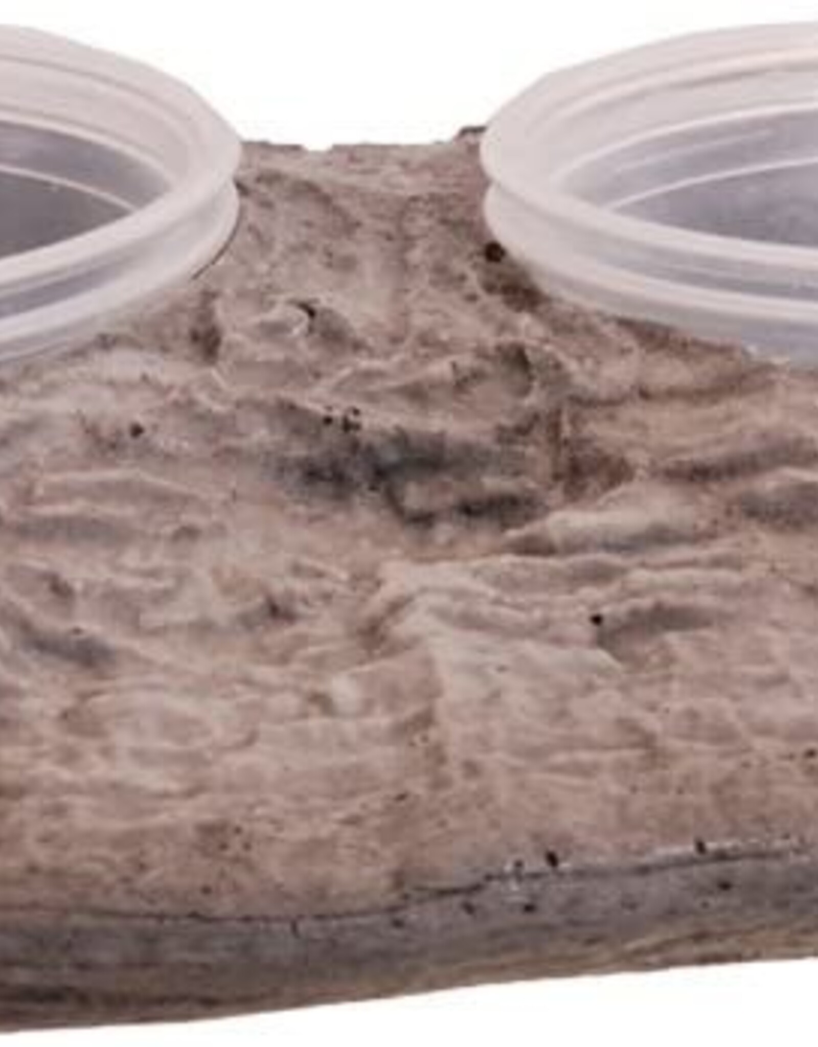 Magnaturals MAGNATURALS Gecko Ledge - Granite