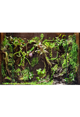 Fernwood FERNWOOD Tree Fern Panel - Large 18" x 6" x 0.6" - 2 Pack