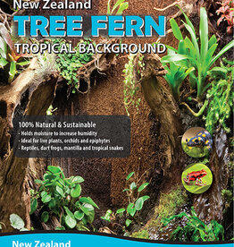 Fernwood FERNWOOD Tree Fern Panel - Medium 12" x 6" x 0.6" - 2 Pack