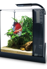 Fluval FLUVAL Betta Aquarium Kit 2.6 Gallon