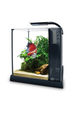 Fluval FLUVAL Betta Aquarium Kit 2.6 Gallon