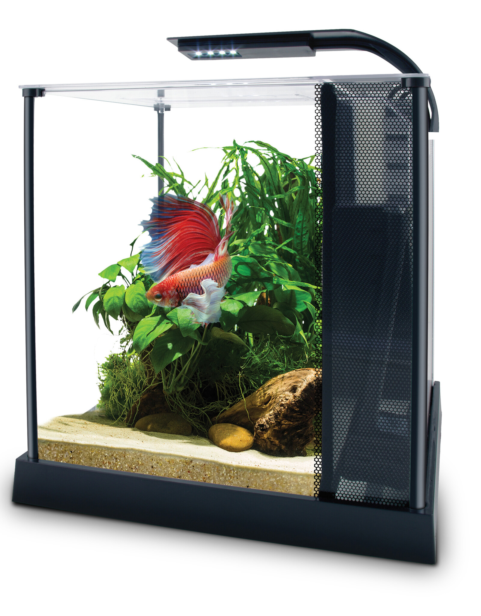 Fluval FLUVAL Betta Aquarium Kit 2.6 Gallon