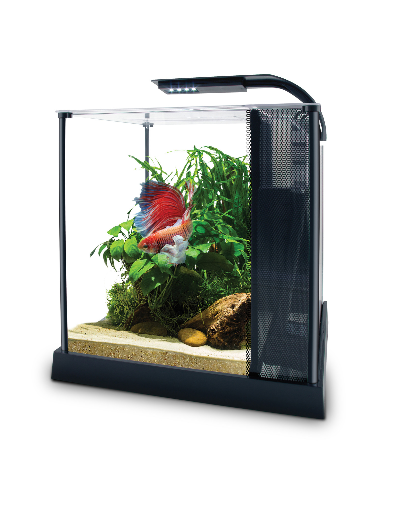 Fluval FLUVAL Betta Aquarium Kit 2.6 Gallon