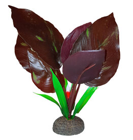 Fluval FLUVAL Betta Red Lizard 15cm