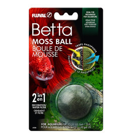Fluval FLUVAL Betta Moss Ball 4.5cm