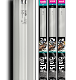 Arcadia ARCADIA Pro T5 HO 12% UVB Desert Lamp Kit