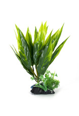 Burgham Aqua-Fit AQUA-FIT Broad Leaf  Plant 8"