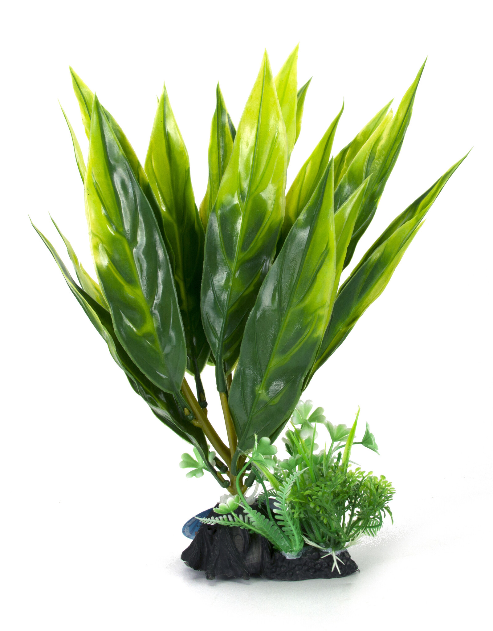 Burgham Aqua-Fit AQUA-FIT Broad Leaf  Plant 8"