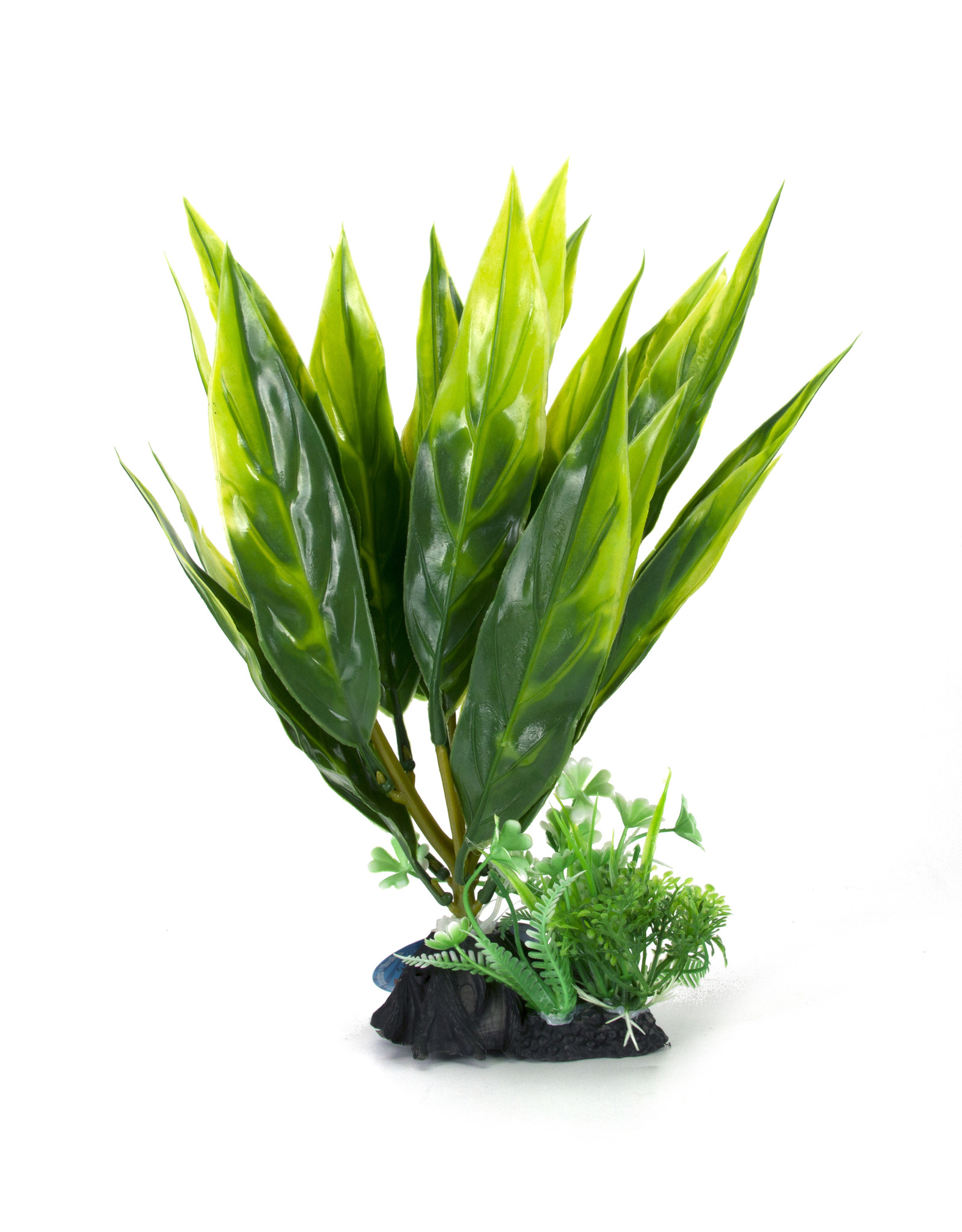 Burgham Aqua-Fit AQUA-FIT Broad Leaf  Plant 8"