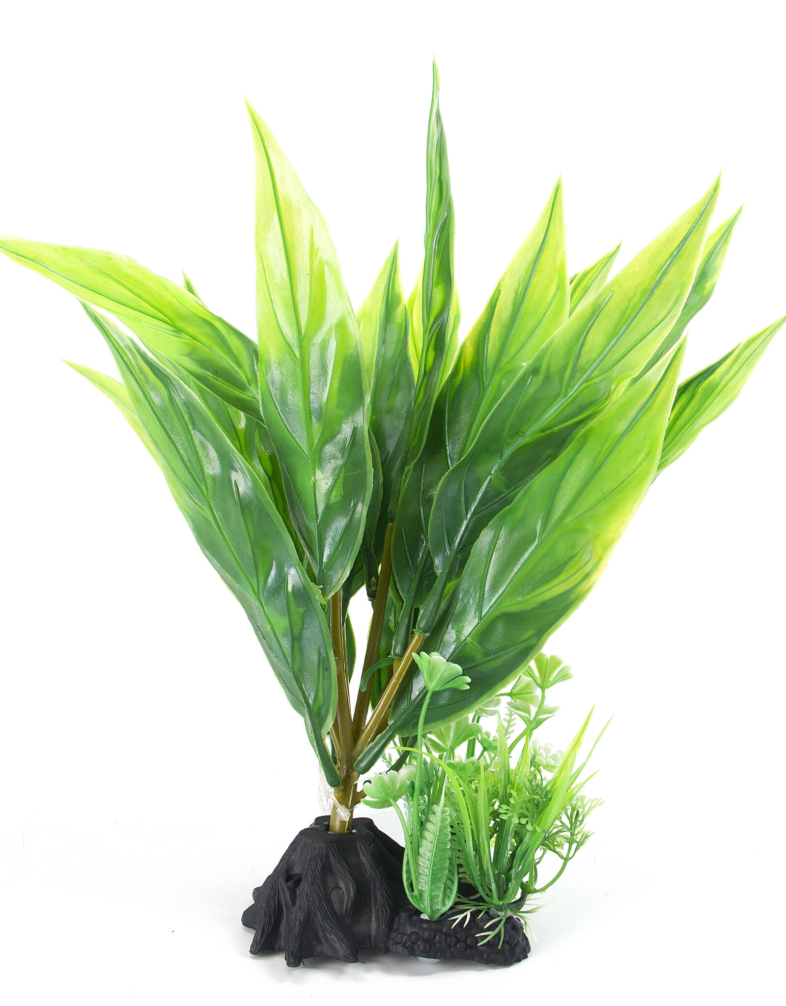 Burgham Aqua-Fit AQUA-FIT Broad Leaf  Plant 8"
