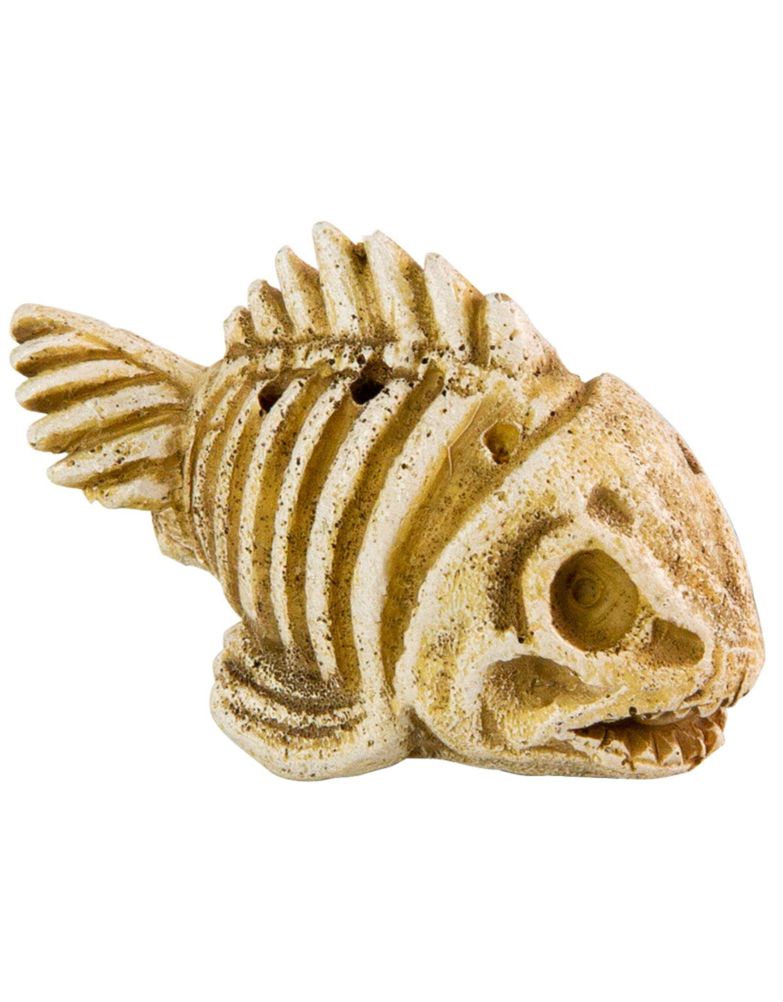 Burgham Aqua-Fit AQUA-FIT Fish Skeleton 3x1.5x2"