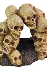Burgham Aqua-Fit AQUA-FIT Skull Arch 5.25x4x4"