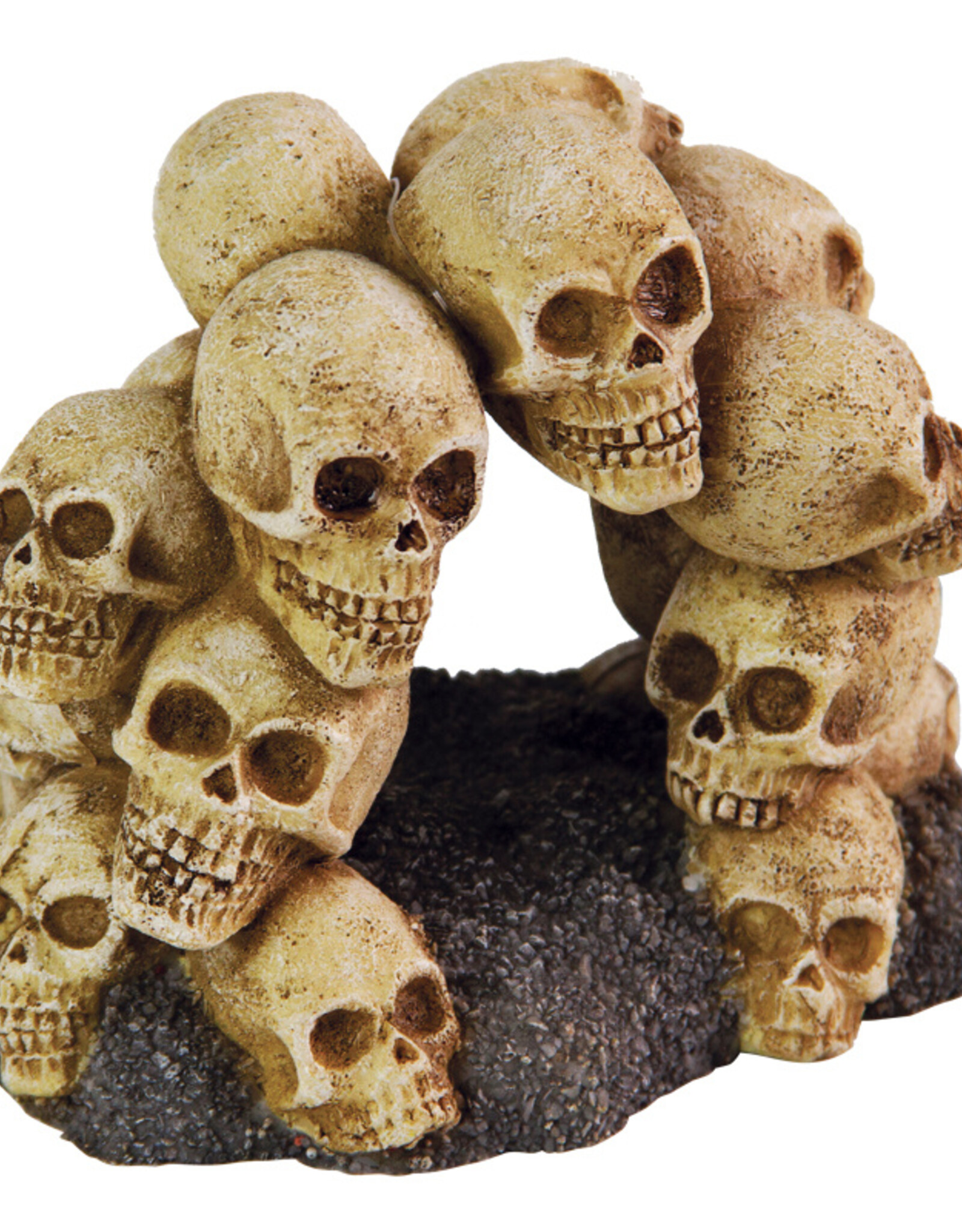 Burgham Aqua-Fit AQUA-FIT Skull Arch 5.25x4x4"