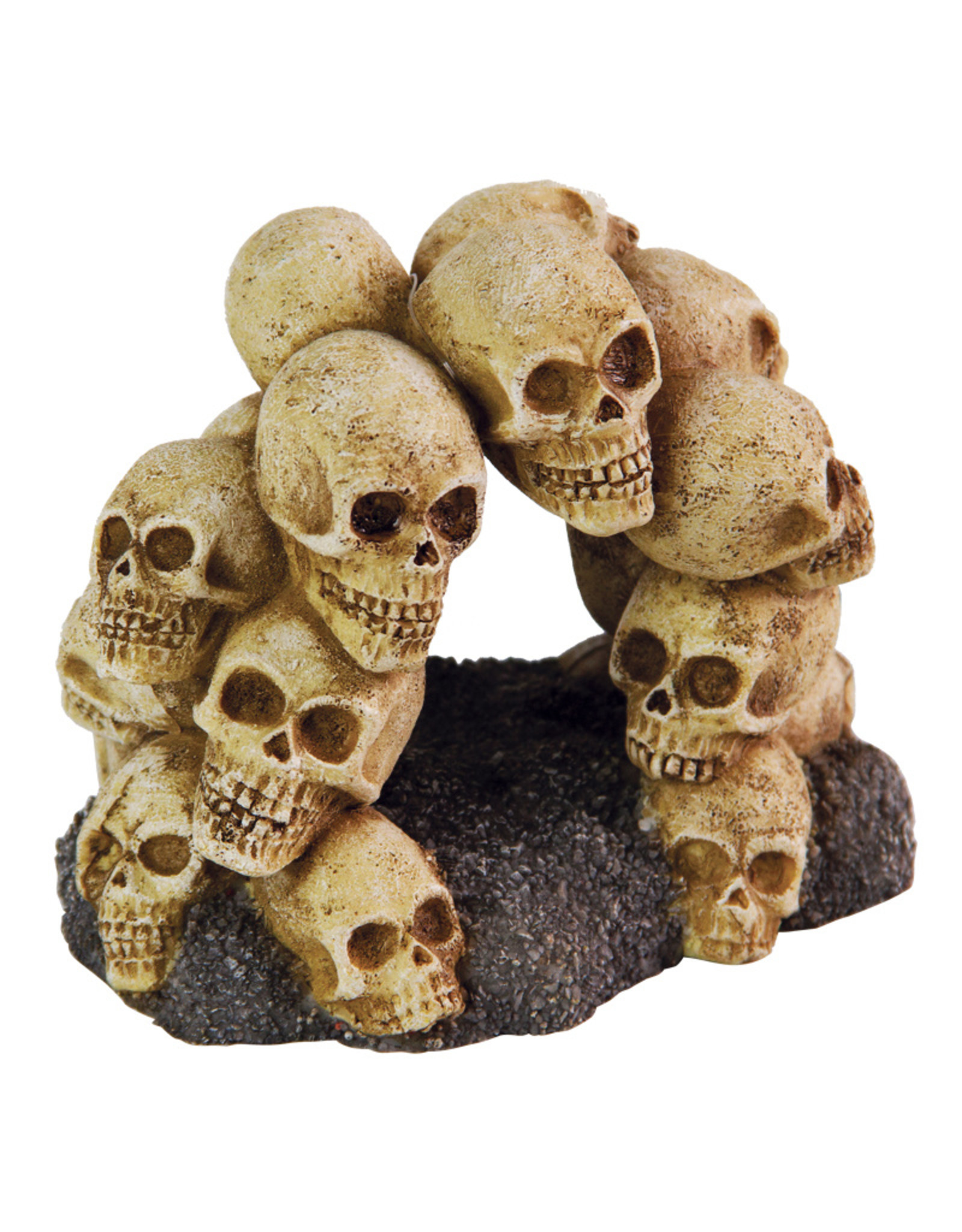 Burgham Aqua-Fit AQUA-FIT Skull Arch 5.25x4x4"