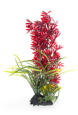 Burgham Aqua-Fit AQUA-FIT Red Leaf Plant 11"