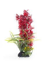 Burgham Aqua-Fit AQUA-FIT Red Leaf Plant 11"