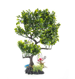 Burgham Aqua-Fit AQUA-FIT Green Juniper Bonsai 11"