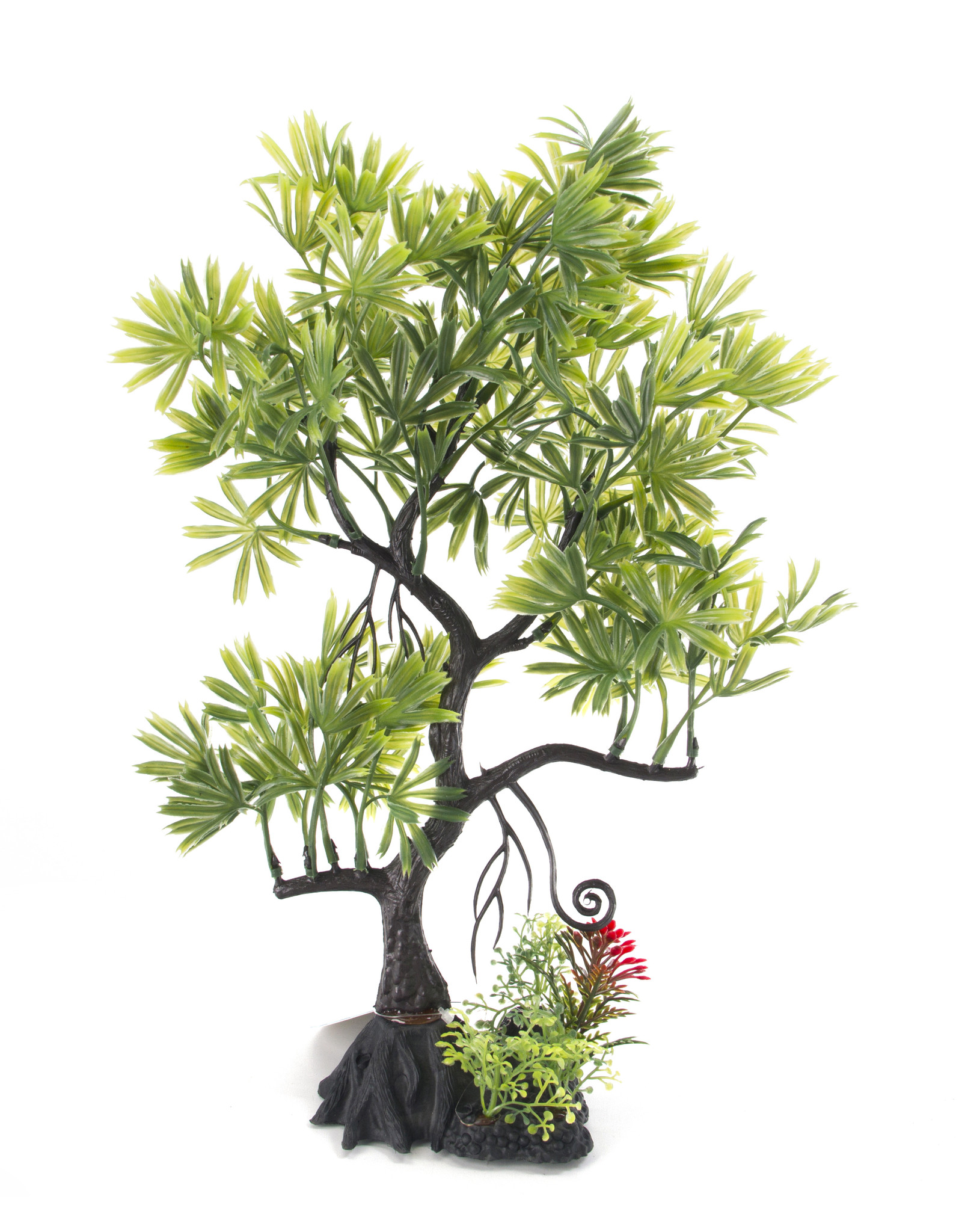 Burgham Aqua-Fit AQUA-FIT Green Japanese Maple Bonsai 11"