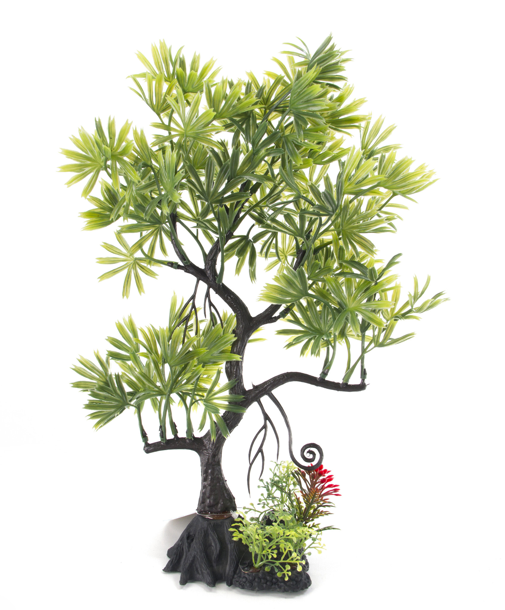 Aqua Fit Green Japanese Maple Bonsai 11 Roger S Aquatics Pet Supplies