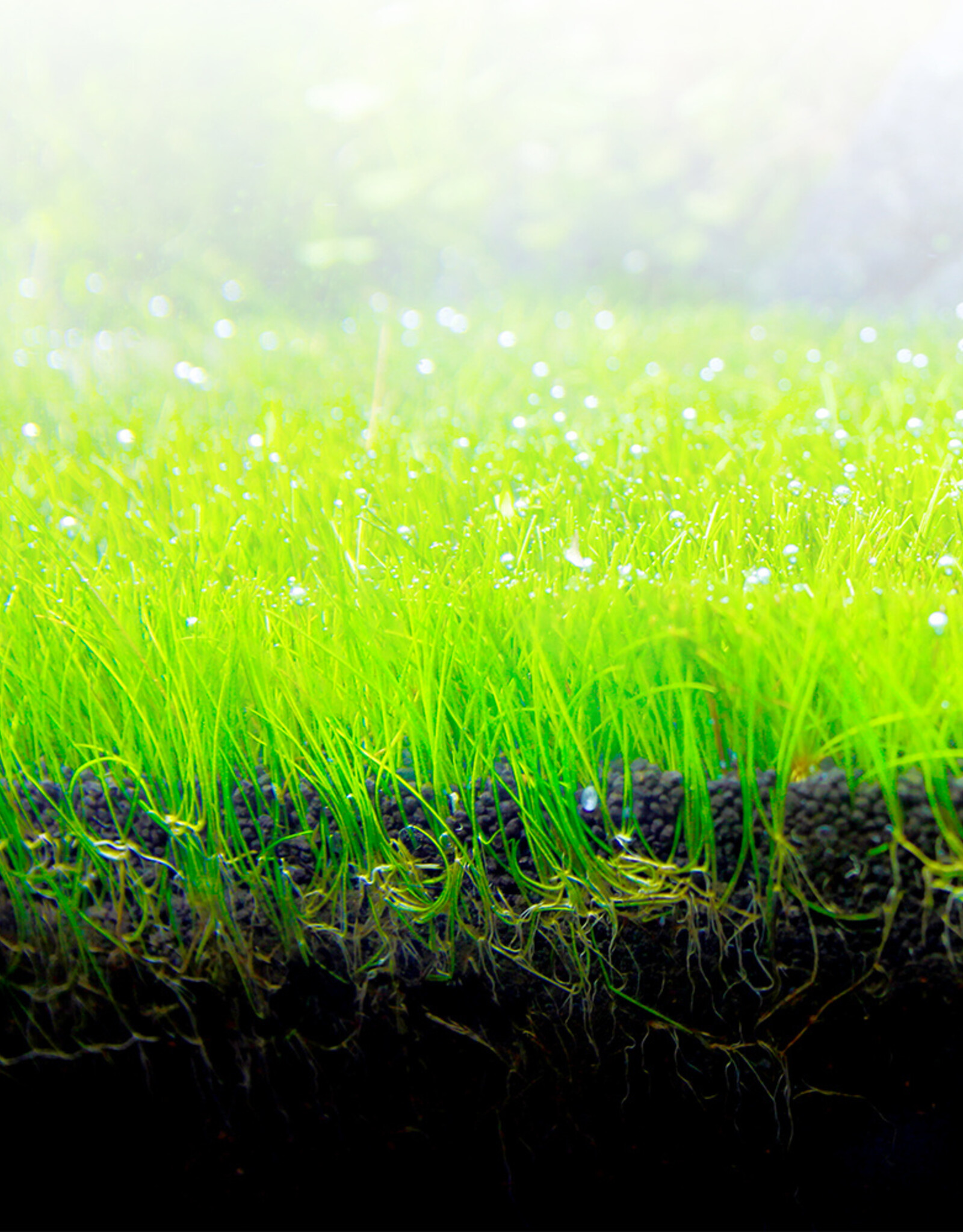 Fluval FLUVAL Bio-Stratum Volcanic Soil-Powder