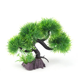 Burgham Aqua-Fit AQUA-FIT Green Spiky Bonsai 11"