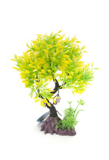 Burgham Aqua-Fit AQUA-FIT Yellow Juniper Bonsai 8"