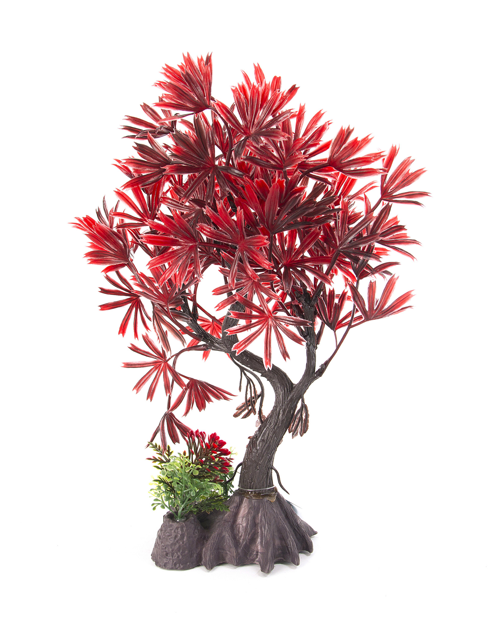 Burgham Aqua-Fit AQUA-FIT Red Japanese Maple Bonsai 8"