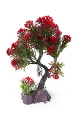 Burgham Aqua-Fit AQUA-FIT Red Pine Bonsai 8"