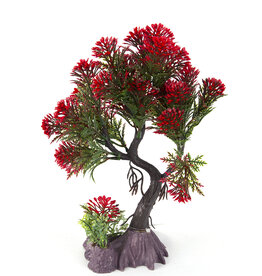 Burgham Aqua-Fit AQUA-FIT Red Pine Bonsai 8"