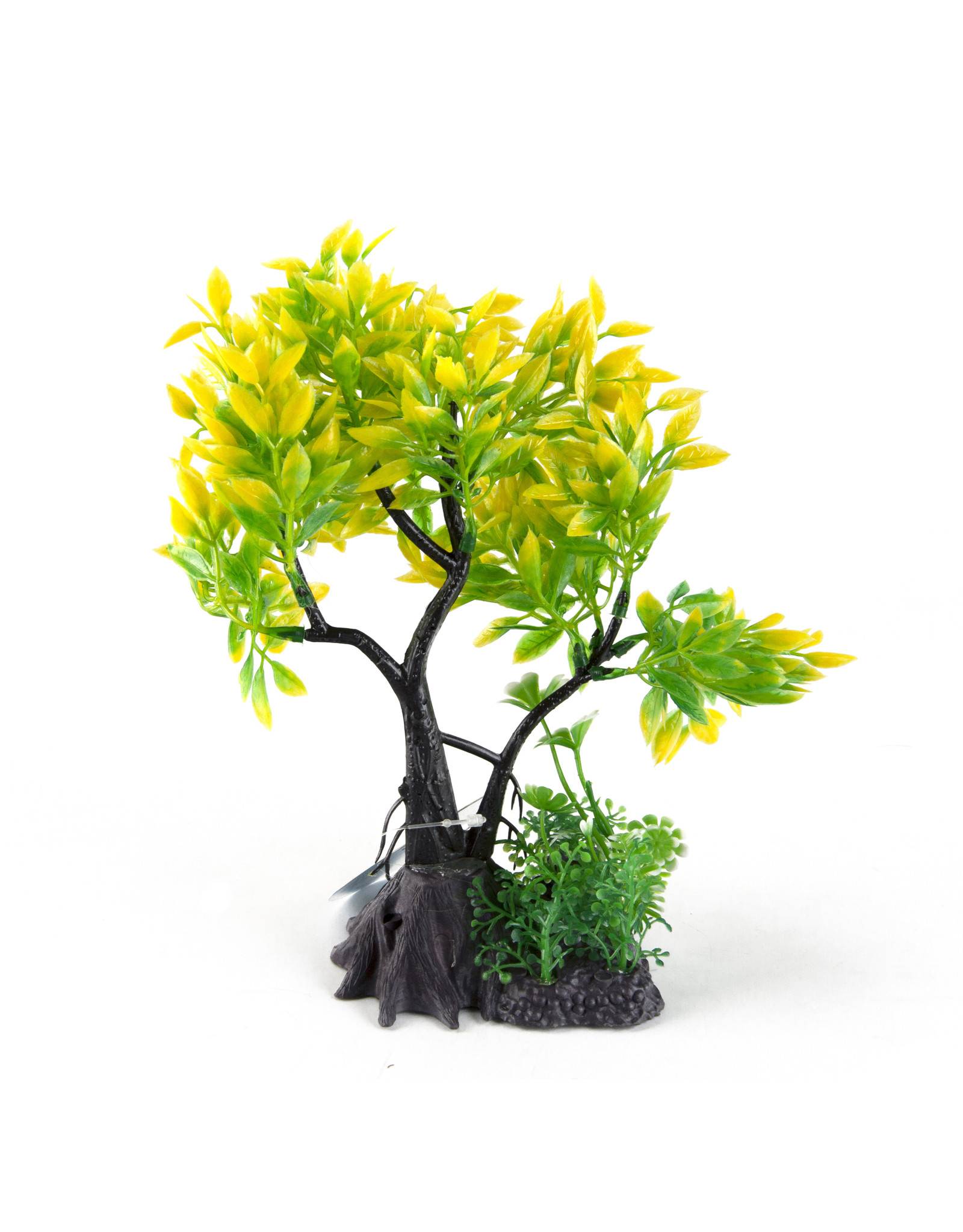 Burgham Aqua-Fit AQUA-FIT Yellow Juniper Bonsai 7"