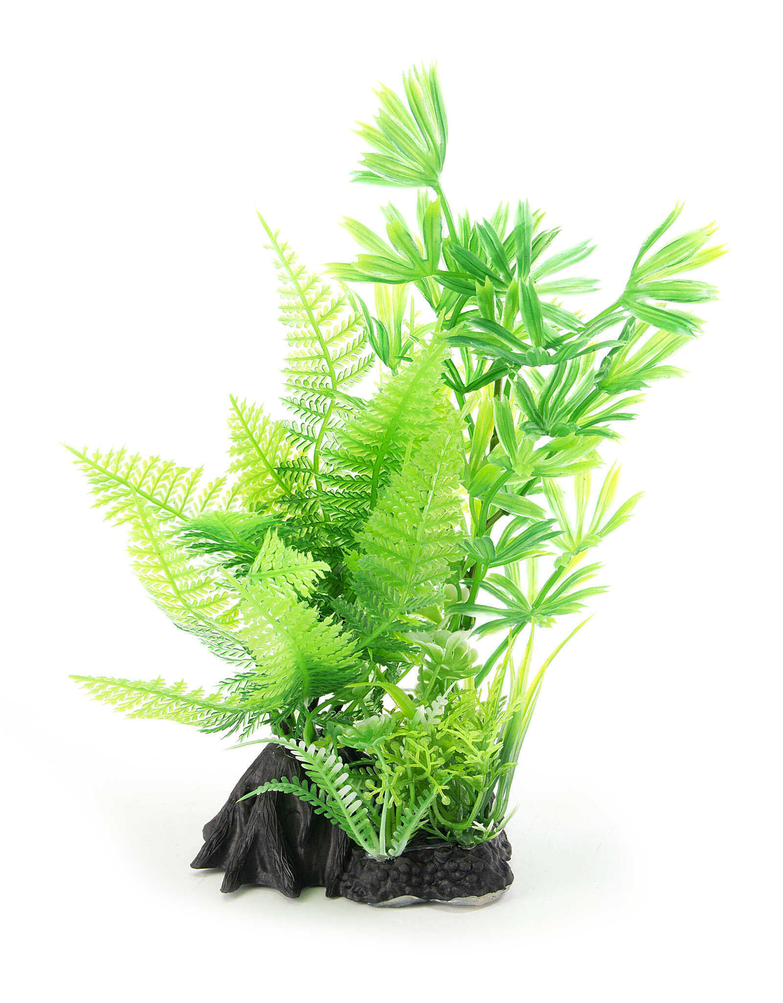 Burgham Aqua-Fit AQUA-FIT Leafy Fern Combo 7"