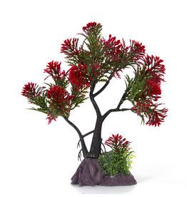 Burgham Aqua-Fit AQUA-FIT Red Pine Bonsai 7"