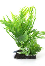 Burgham Aqua-Fit AQUA-FIT Green Broad Leaf Fern Plant 7"