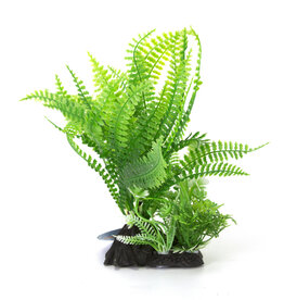 Burgham Aqua-Fit AQUA-FIT Green Broad Leaf Fern Plant 7"