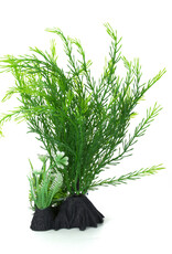 Burgham Aqua-Fit AQUA-FIT Green Cabomba Plant 7"